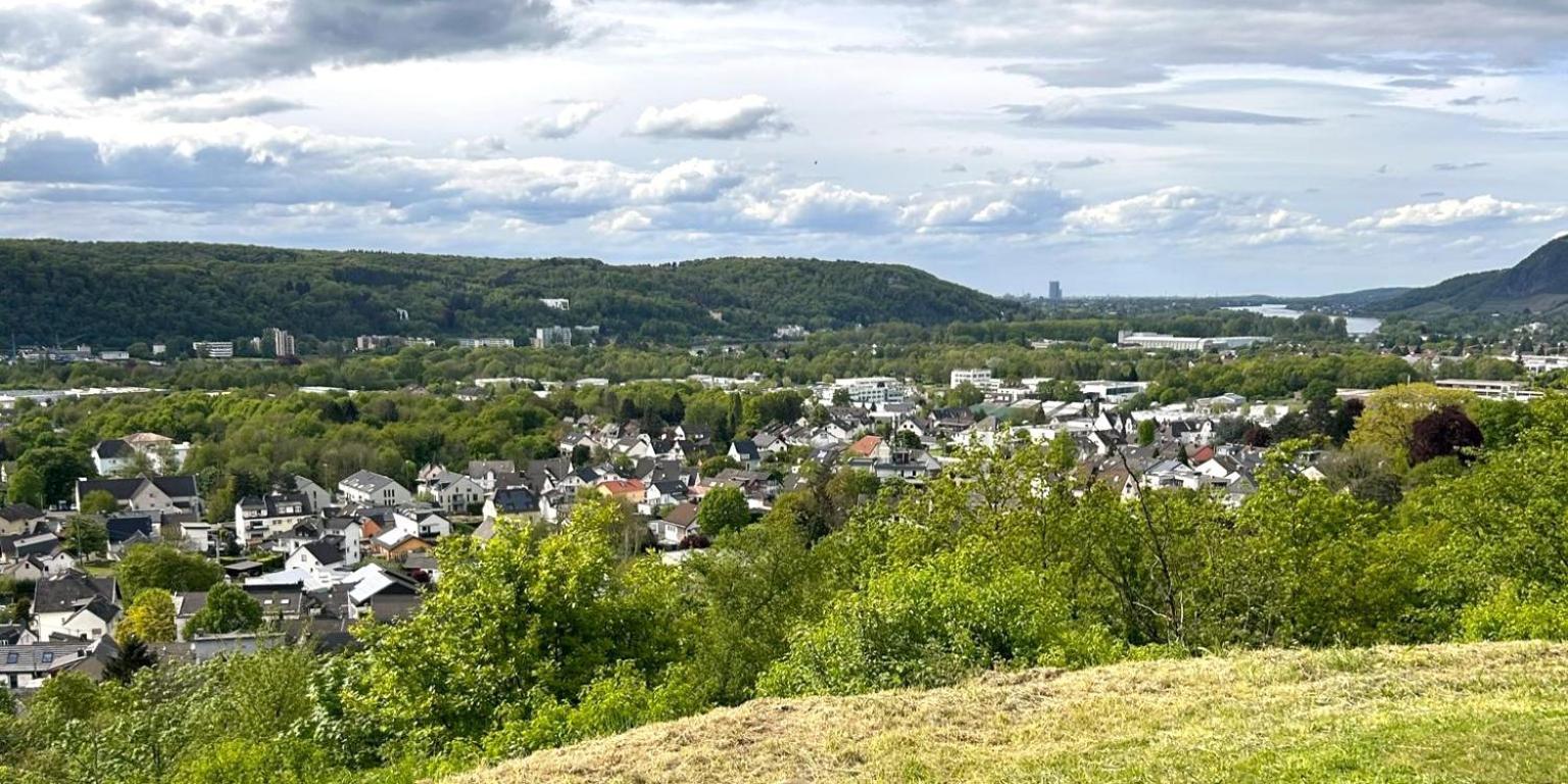 Appartamento Wohnen Am Weinberg Rheinbreitbach Esterno foto